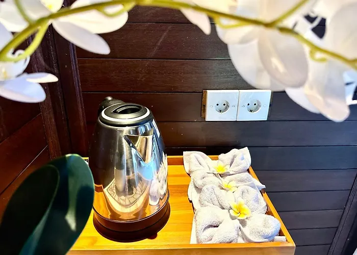 Vilah Guest house 3*